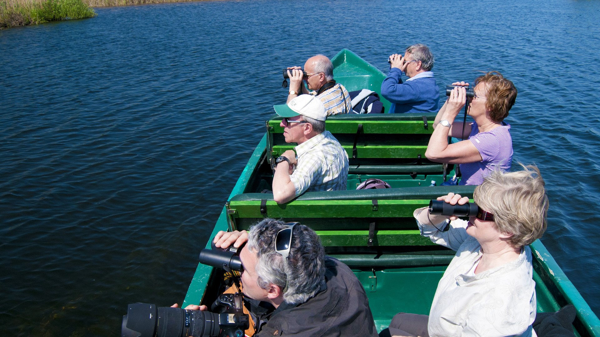 birdwatching from boat
