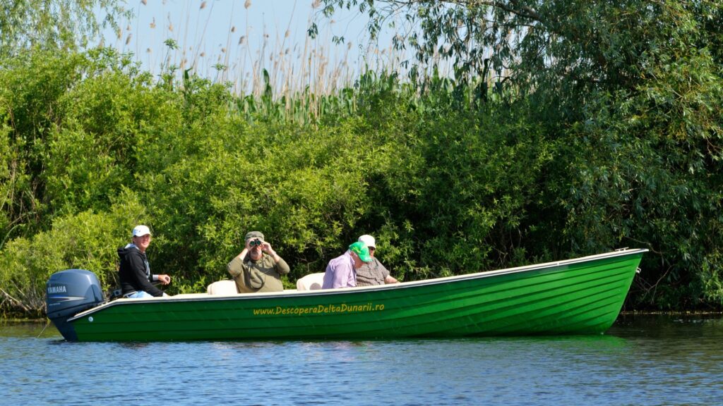 private birdwatching trip