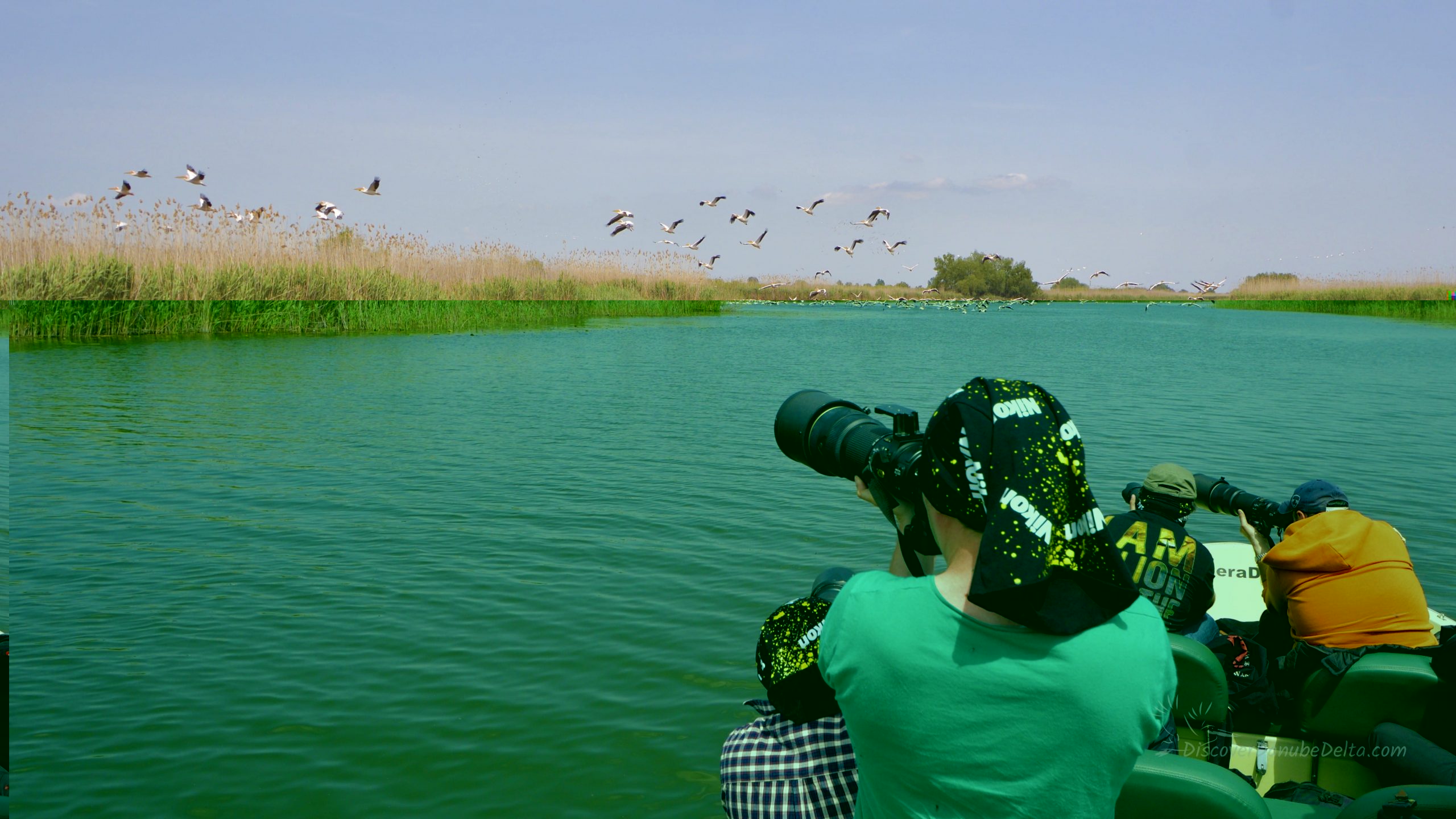 Private Guided Photography Day Trip Discover Danube Delta