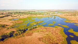 water and reed beds