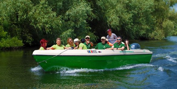travel by boat to the danube delta