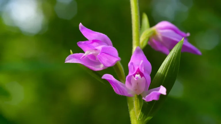 20180517__5008427