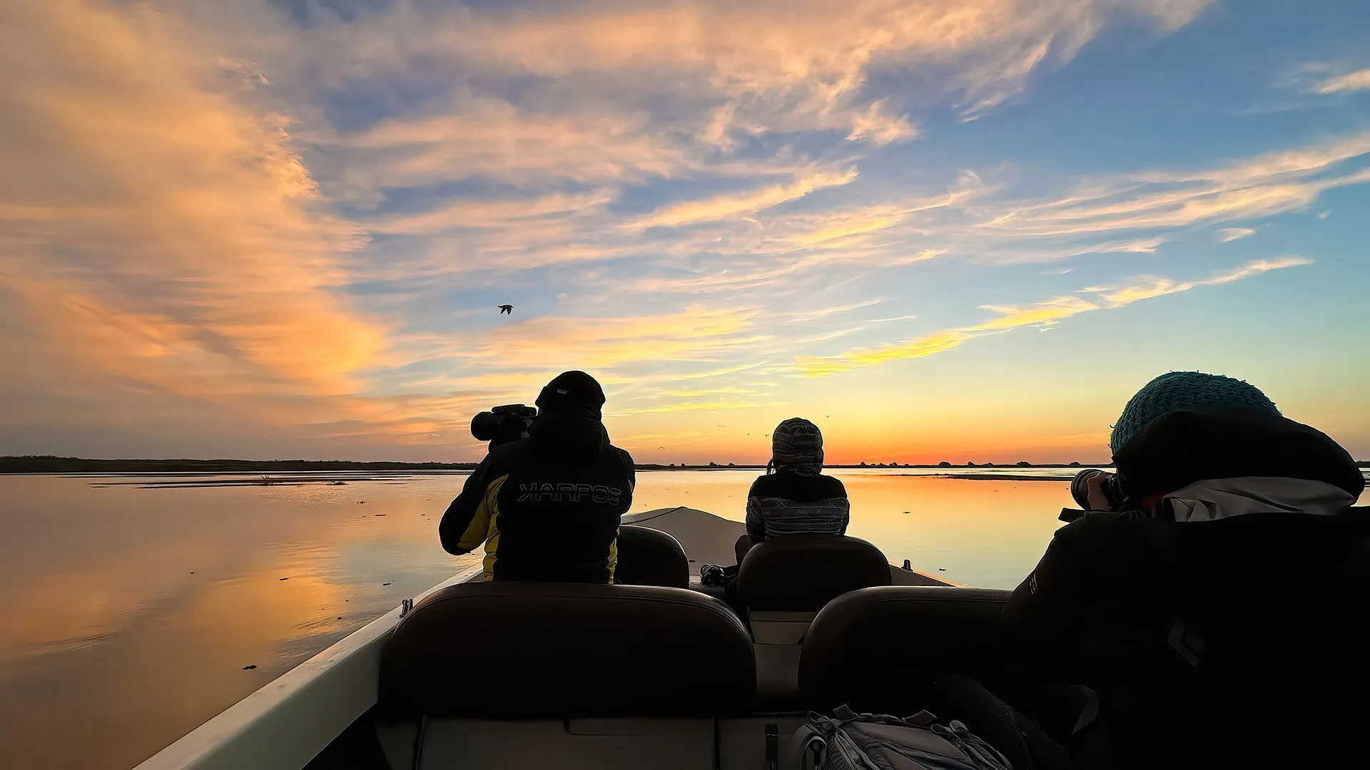 Morning photo tour to Danube Delta