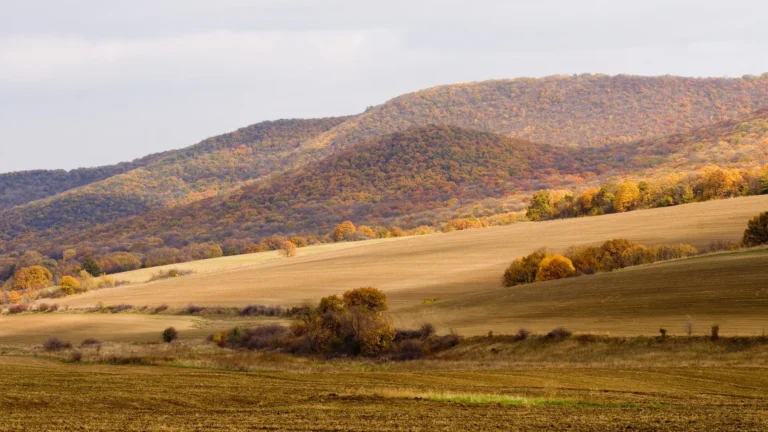 Autumn in Dobrogea, hills and forest colors