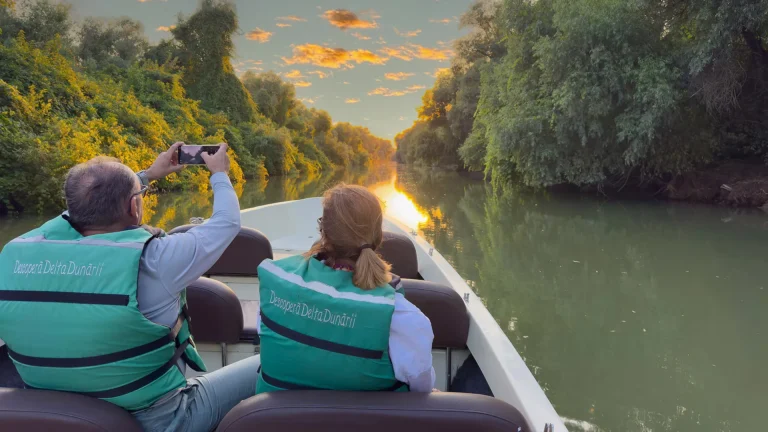 Danube Delta 4h trip, morning or evening