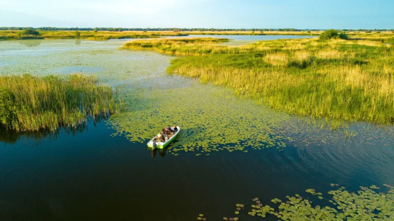 Open Boat Trip to Danube Delta