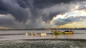 Local fishermans and pelicans in the Danube Delta