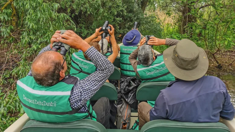 Danube Delta Birdwatching tour
