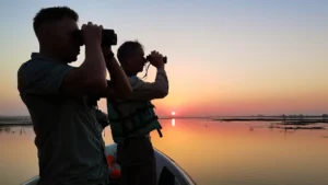 Danube Delta Birding at sunrise