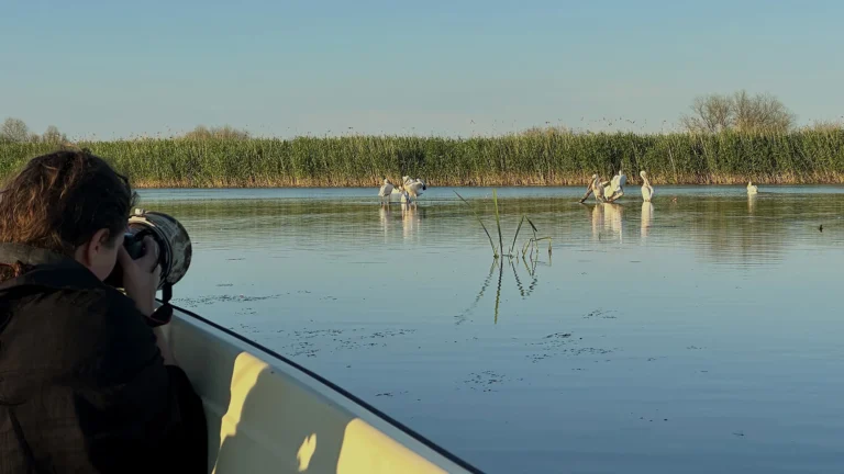Danube Delta Photo Tour with open boat