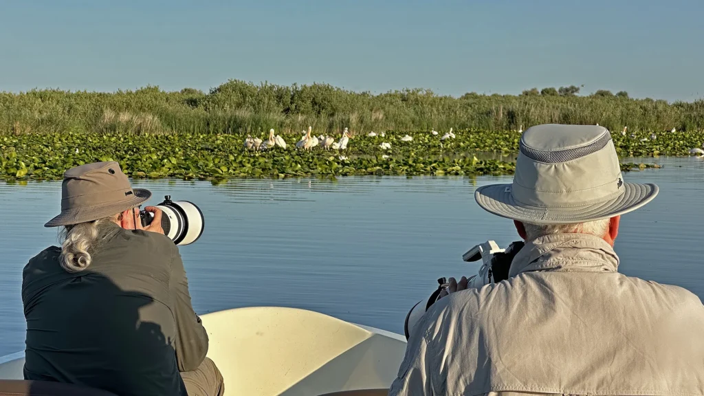 Danube Delta Photo Tourto pelicans