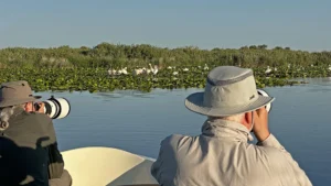 Danube Delta Wildlife Photo Tour