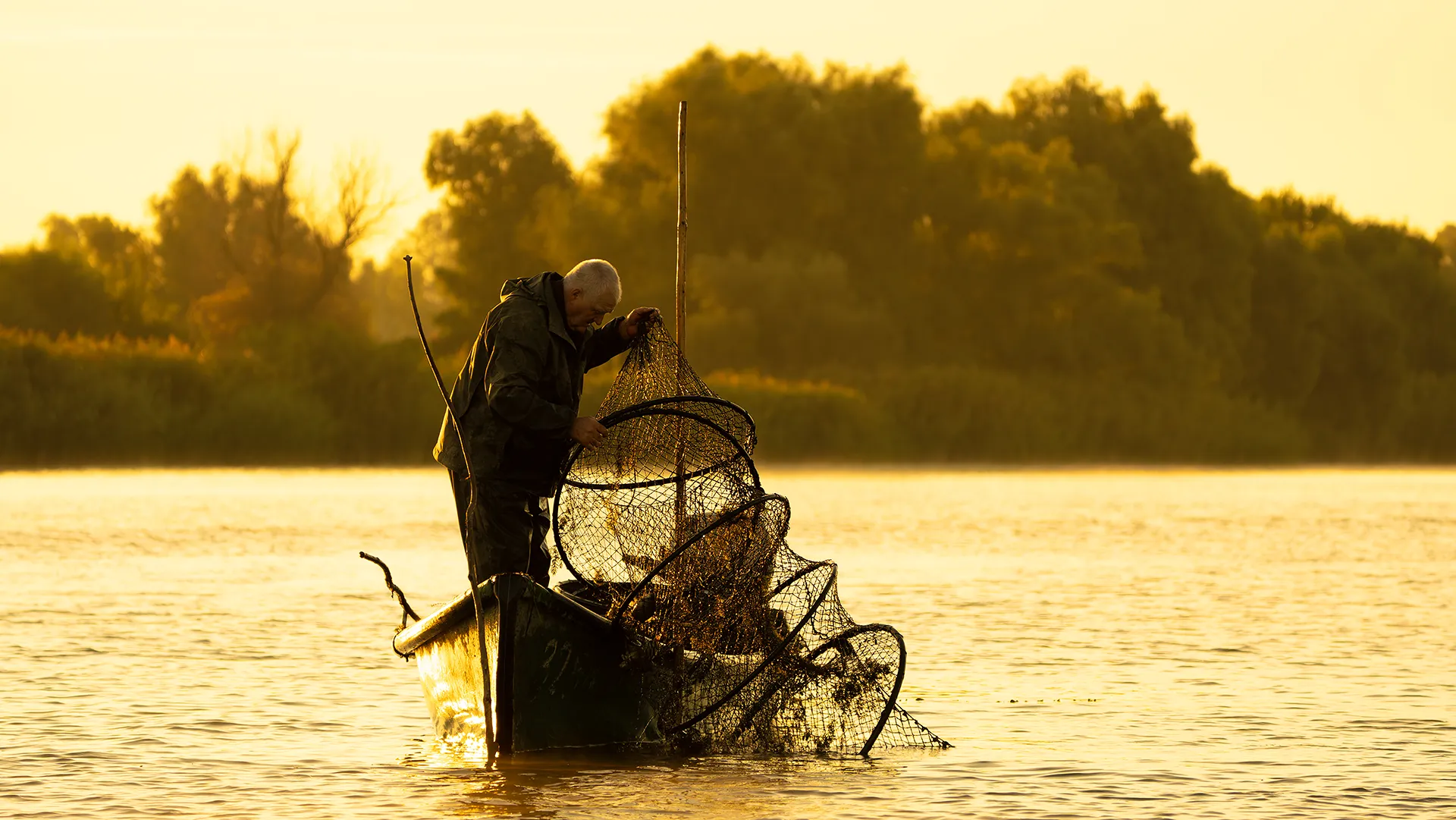 Fisherman lifting his nets in golden light on a Danube Delta lake